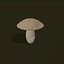 Boletus bianco del fumetto
