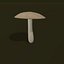 Boletus bianco del fumetto