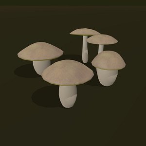 3d model of boletus cartoon