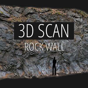 scan rock wall 3D model