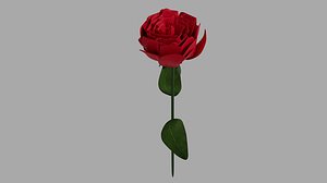 3D 2x Rose and Chrysanthemum Pack