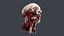 Severed Head 2