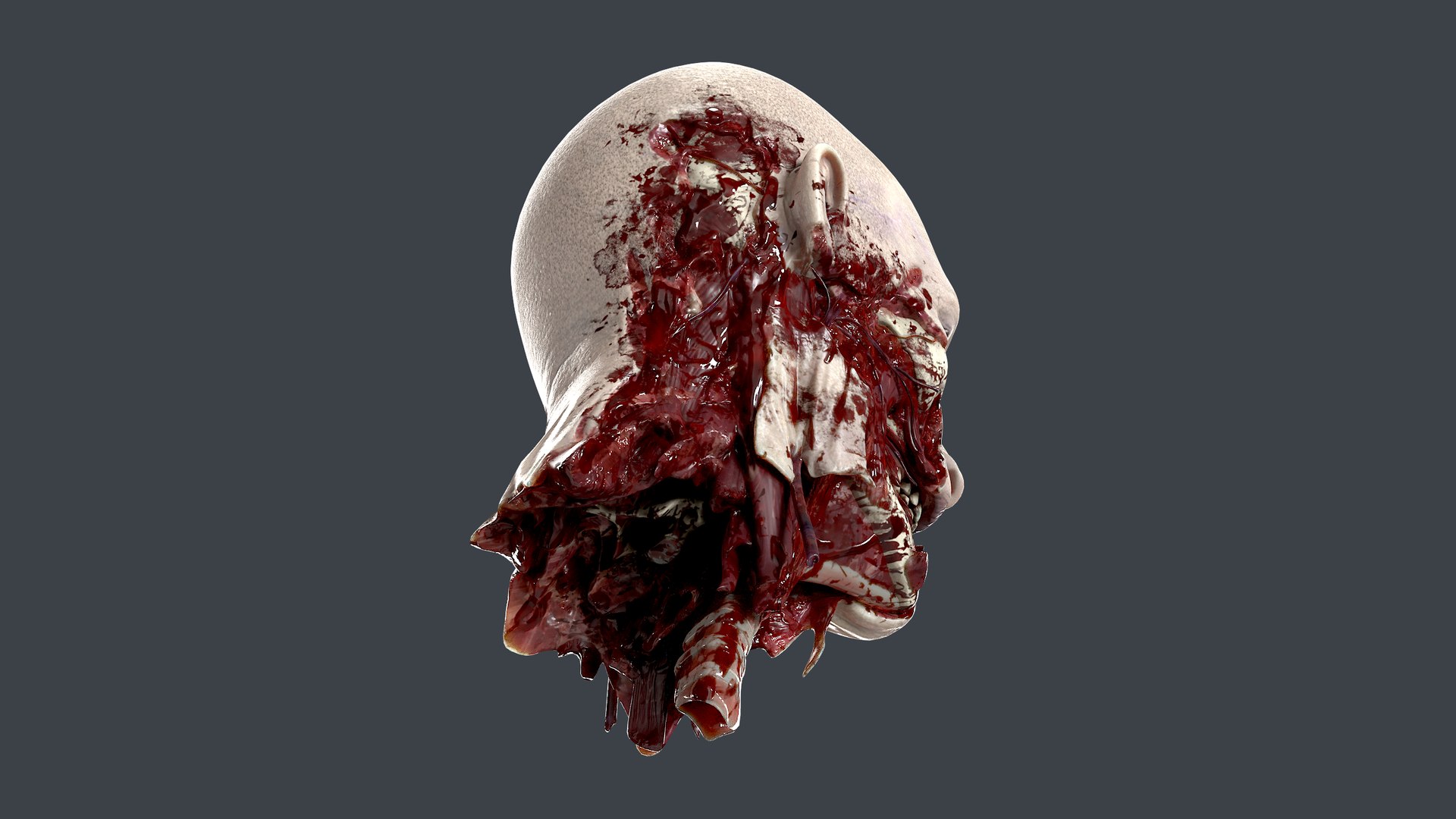 3D Severed Head 2 https://p.turbosquid.com/ts-thumb/2U/8czIqp/HN/7/png/1659619088/1920x1080/fit_q87/97221d9f48552d8aaa75b298d02ba0bee883e606/7.jpg