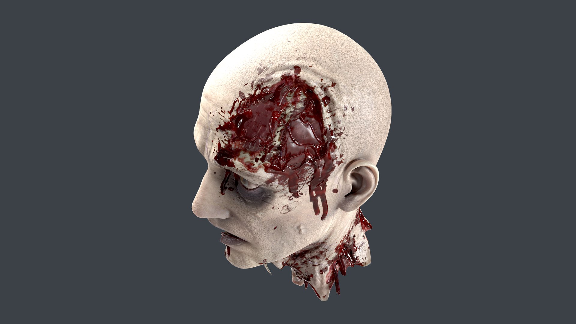 3D Severed Head 2 https://p.turbosquid.com/ts-thumb/2U/8czIqp/Ls/10/png/1659619089/1920x1080/fit_q87/b505dec8ad098d97e0f48e9743666c06501db0ba/10.jpg