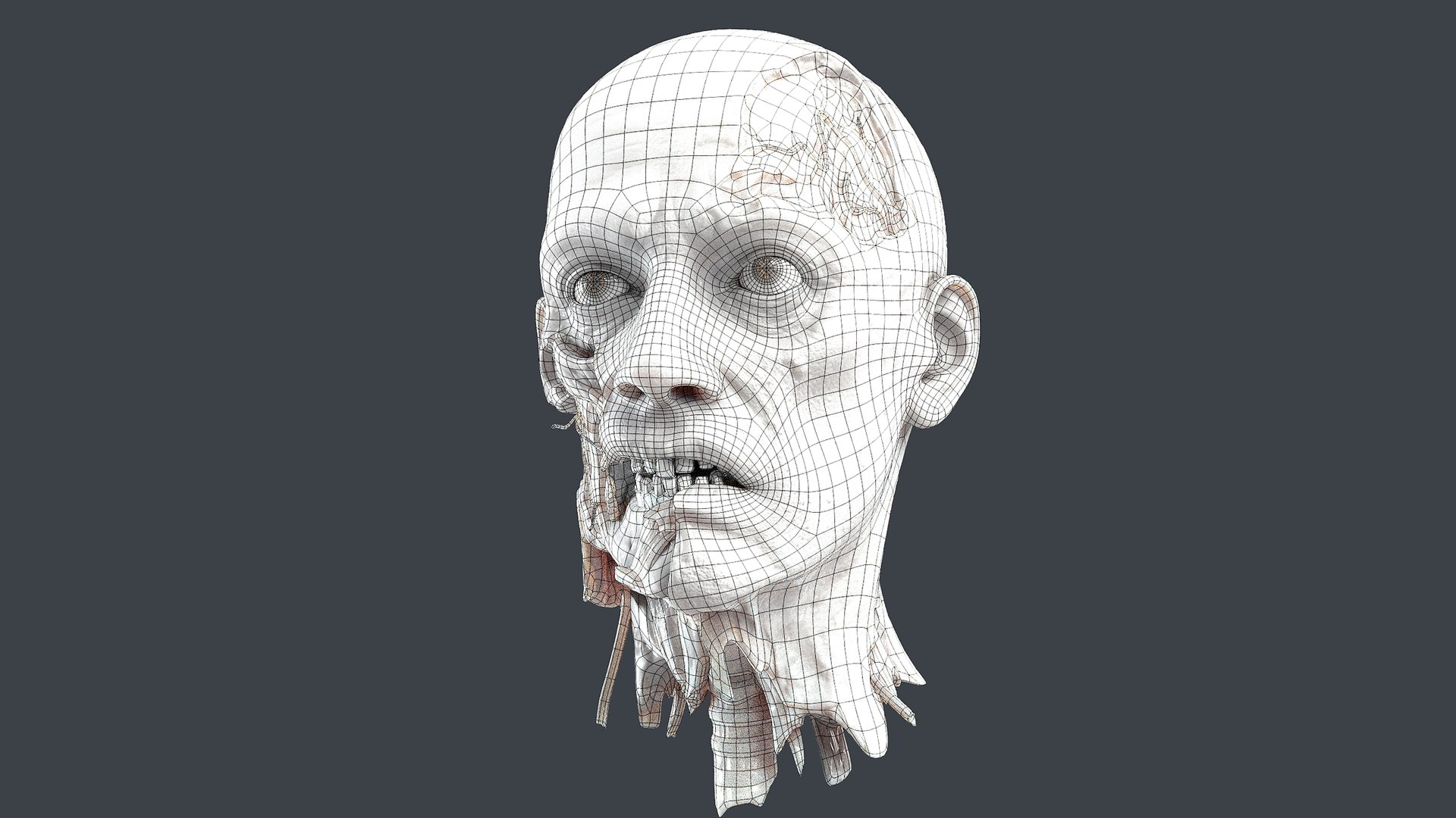 3D Severed Head 2 https://p.turbosquid.com/ts-thumb/2U/8czIqp/b3/wire1/png/1659619116/1920x1080/fit_q87/6ff86f7cb3a75992dd182025afdda6be1230bf5b/wire1.jpg