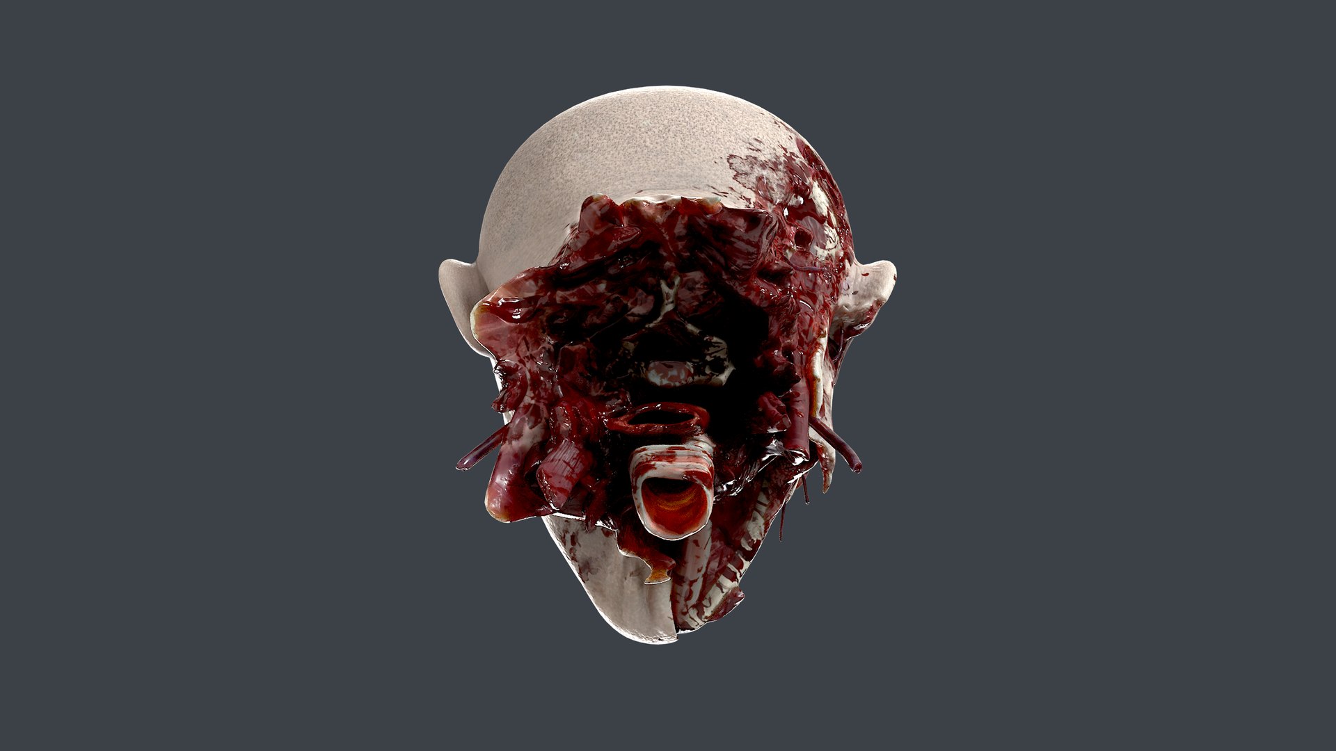 3D Severed Head 2 https://p.turbosquid.com/ts-thumb/2U/8czIqp/g8/8/png/1659619088/1920x1080/fit_q87/eb650072f51cf6d7d00d79a71099014d86799bc0/8.jpg