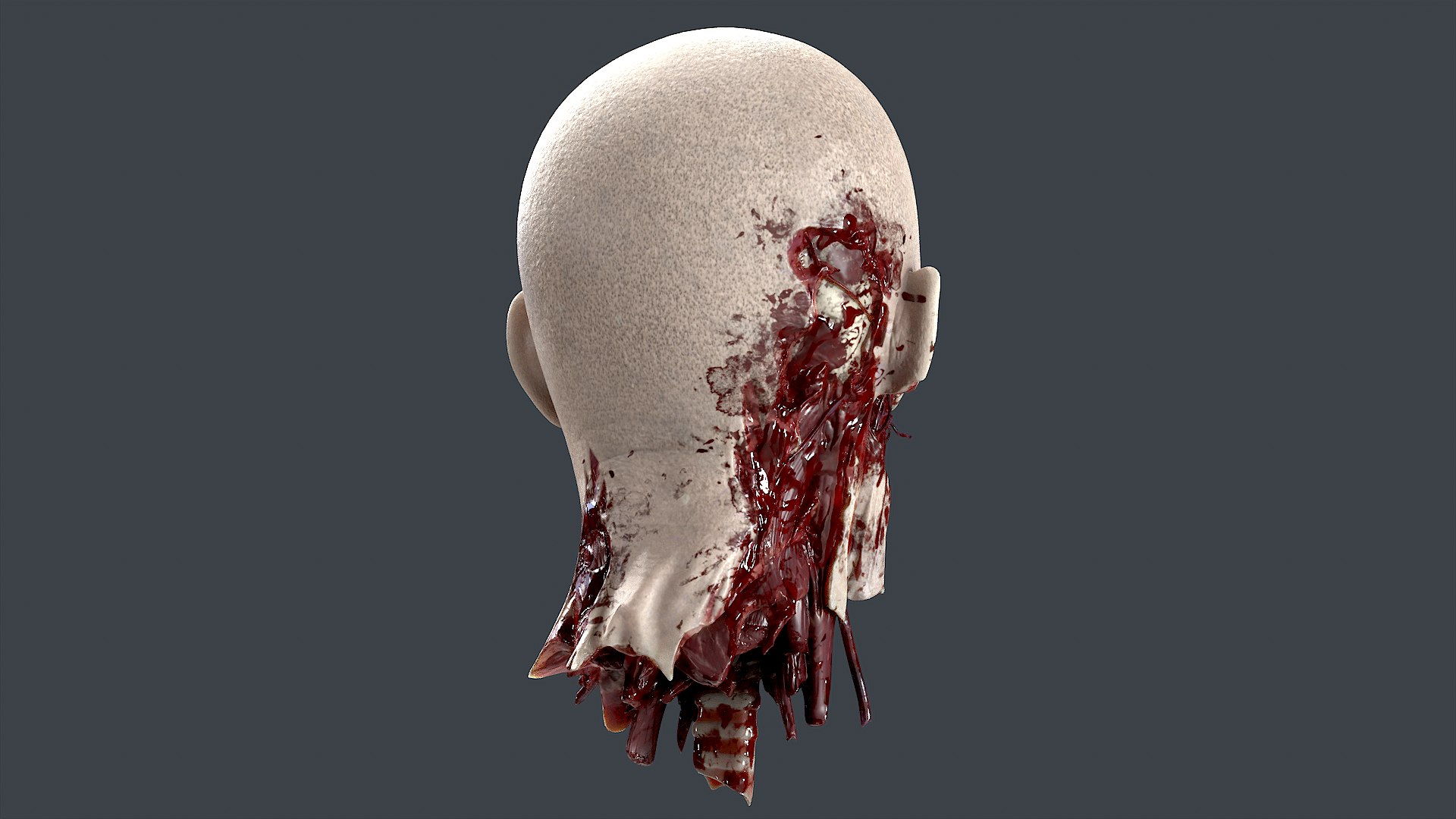 3D Severed Head 2 https://p.turbosquid.com/ts-thumb/2U/8czIqp/h9/3/png/1659619083/1920x1080/fit_q87/44ba06384b440d6e9911b6d287f3ca6746d48702/3.jpg