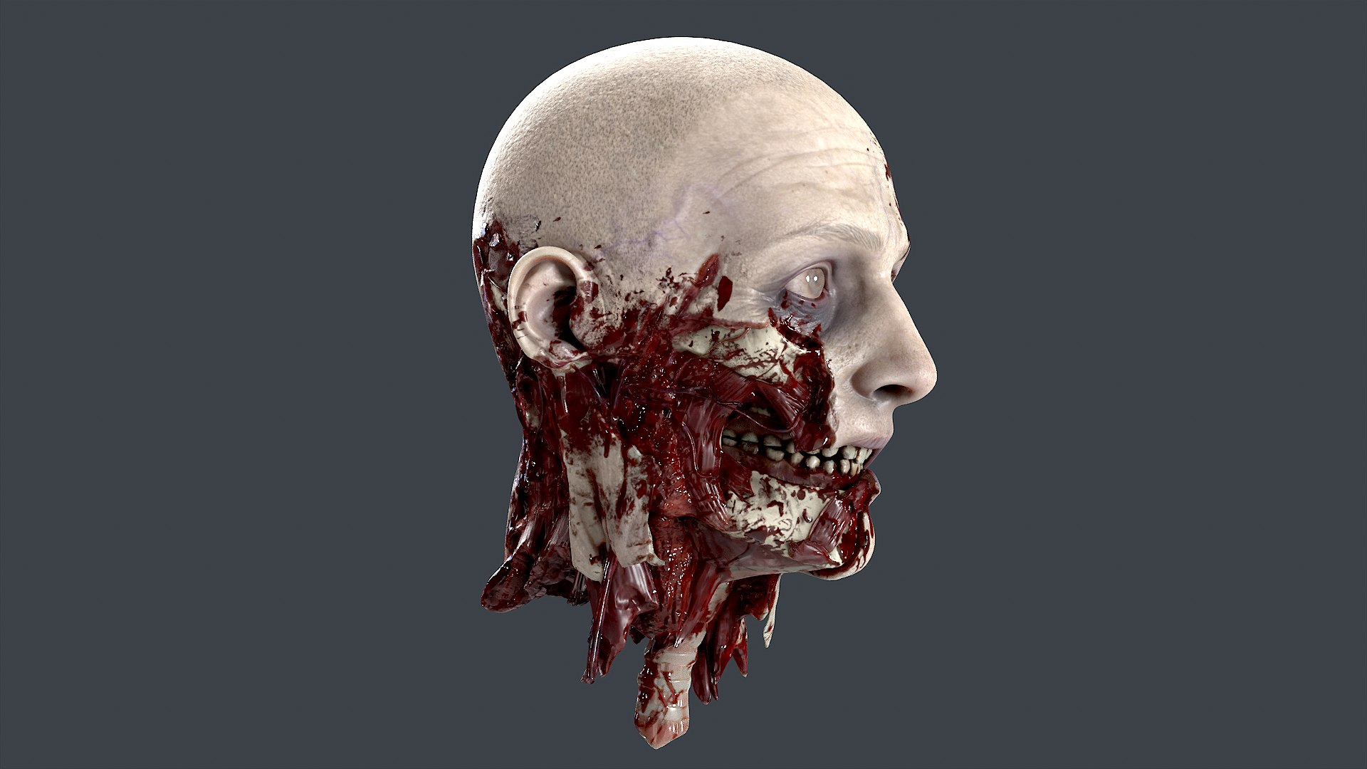 3D Severed Head 2 https://p.turbosquid.com/ts-thumb/2U/8czIqp/jS/2/png/1659619084/1920x1080/fit_q87/e3e5921c7e9ece3f81b18a06724e601814358fa8/2.jpg