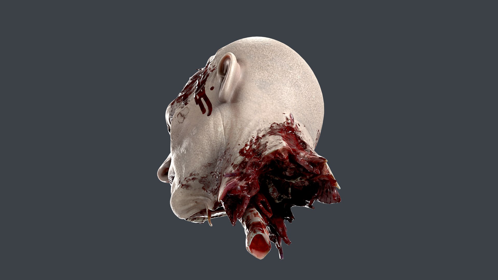 3D Severed Head 2 https://p.turbosquid.com/ts-thumb/2U/8czIqp/jg/9/png/1659619088/1920x1080/fit_q87/34bb01c8726f2a44039fb0a91709ff2d5bc825ce/9.jpg
