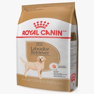 Dog Food Royal Canin Large Package