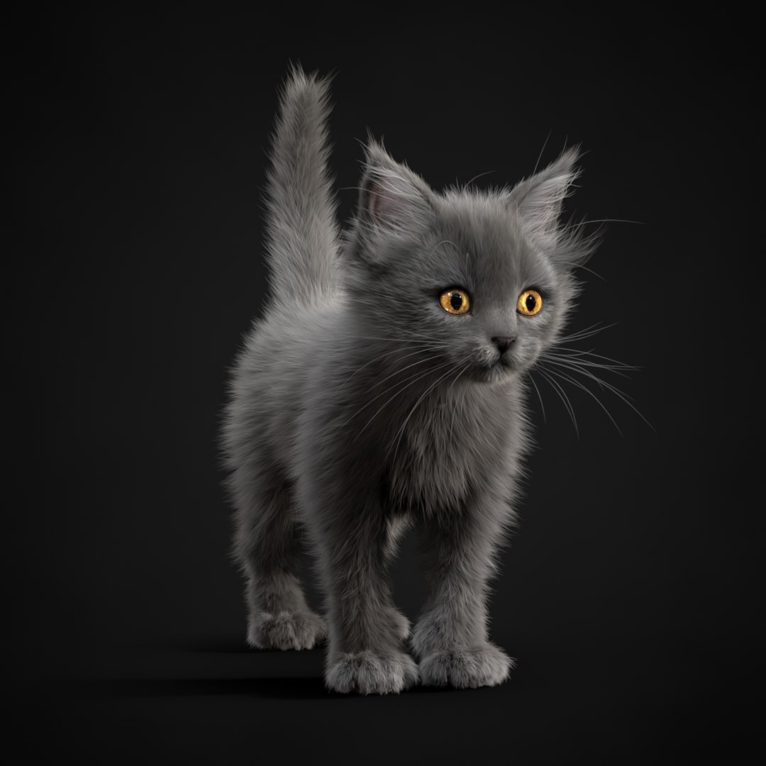 kitten grey 3d model https://p.turbosquid.com/ts-thumb/2U/CZSCFT/5KyifprP/turn0002/jpg/1426235467/1920x1080/fit_q87/539bd546c5c42c5b54e849975595a50923d692ce/turn0002.jpg