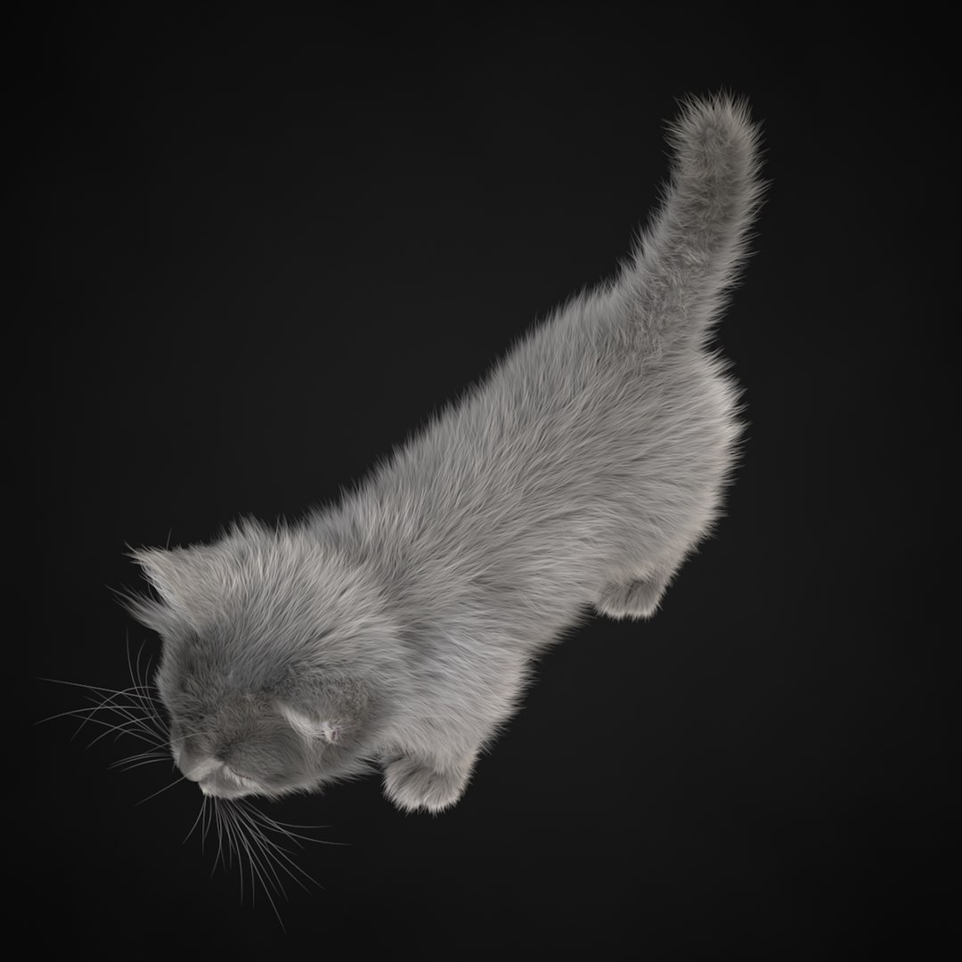 kitten grey 3d model https://p.turbosquid.com/ts-thumb/2U/CZSCFT/7za2p88x/2/jpg/1426235466/1920x1080/fit_q87/739bc0042b6752385dec29115e23b20eb8d940d2/2.jpg