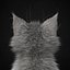 子猫グレー