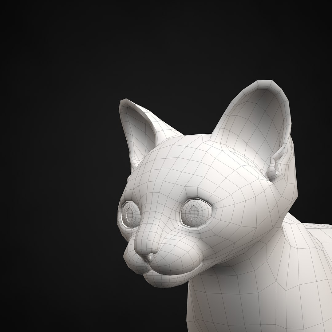 kitten grey 3d model https://p.turbosquid.com/ts-thumb/2U/CZSCFT/Ou9xcqQh/18/jpg/1426235467/1920x1080/fit_q87/0a8c270f398d410276e55e27c8b407ef6f1eb732/18.jpg