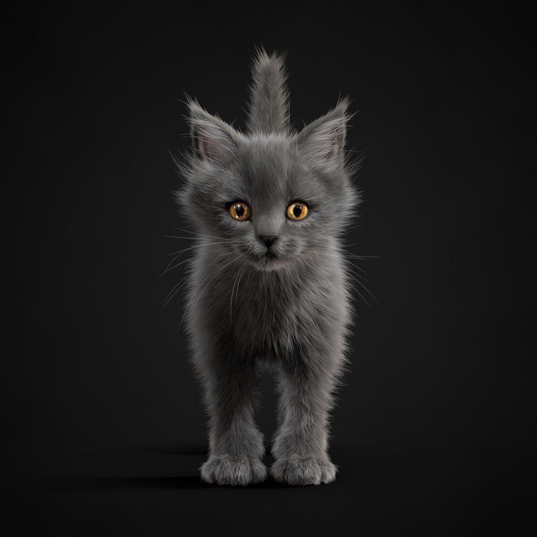 kitten grey 3d model https://p.turbosquid.com/ts-thumb/2U/CZSCFT/k9t9UbAK/turn0000/jpg/1426235467/1920x1080/fit_q87/75e54e25e63a974c61c39adc7b6e6633a697a890/turn0000.jpg