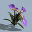 3d model realistic flower 3 open