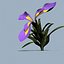 3d model realistic flower 3 open