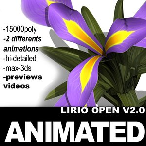 3d model realistic flower 3 open