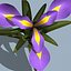 3d model realistic flower 3 open