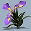 3d model realistic flower 3 open