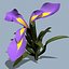 3d model realistic flower 3 open