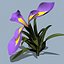 3d model realistic flower 3 open