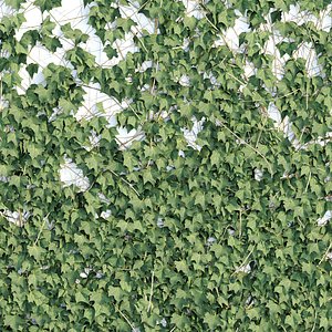 3D ivy for wall collection vol 101