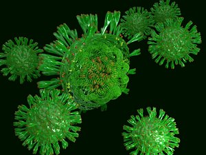 coronavirus structure 3D model