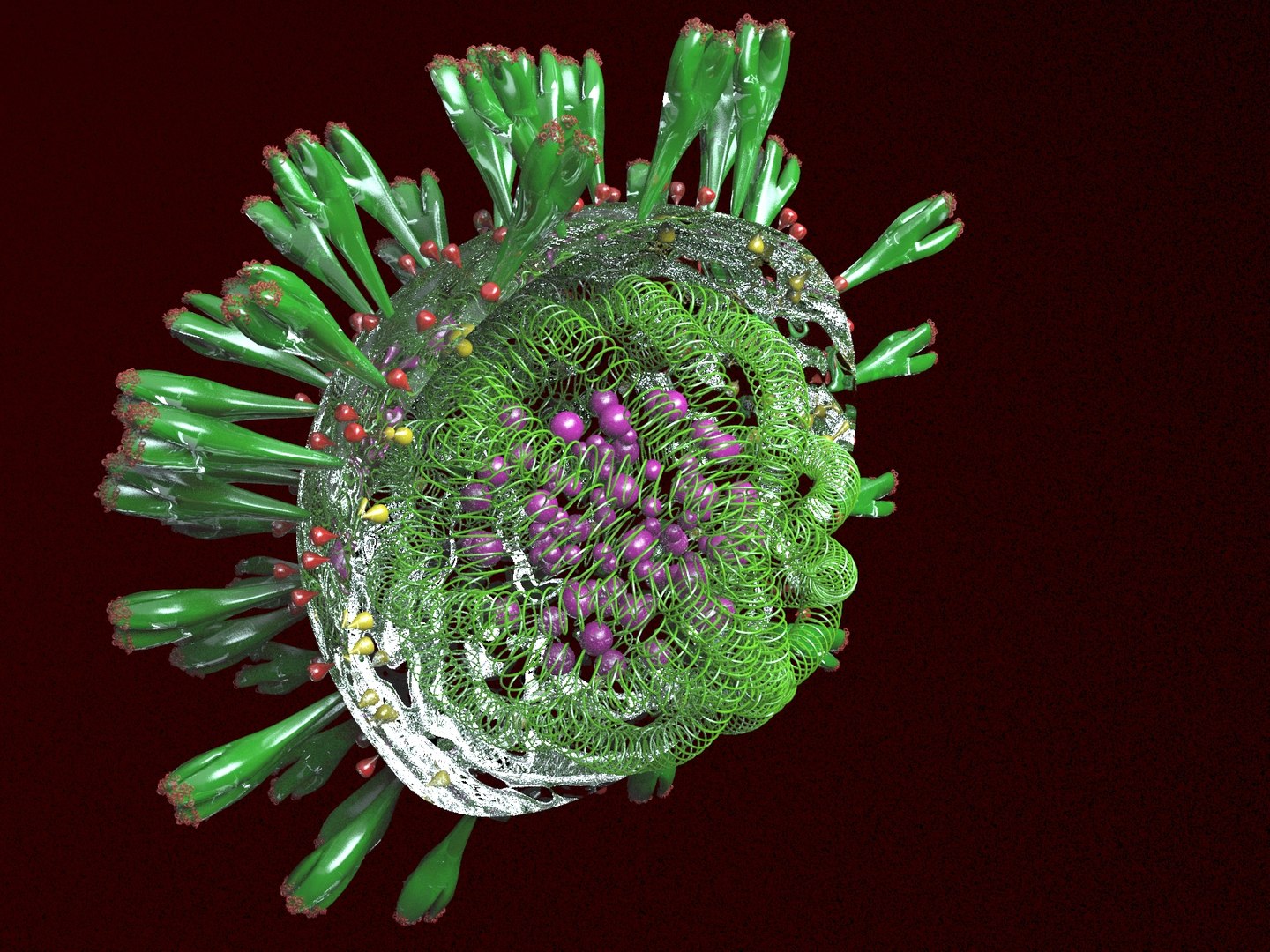 Coronavirus structure 3D model - TurboSquid 1529860
