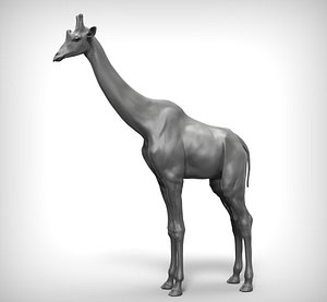 3D giraffe ztl zbrush model