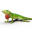 3d carolina anole lizard pose model