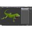 3d carolina anole lizard pose model