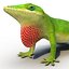 3d carolina anole lizard pose model