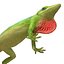 3d carolina anole lizard pose model