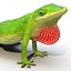 3d carolina anole lizard pose model