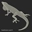 3d carolina anole lizard pose model