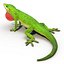 3d carolina anole lizard pose model