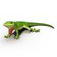 3d carolina anole lizard pose model