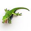 3d carolina anole lizard pose model