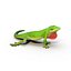 3d carolina anole lizard pose model