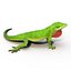 3d carolina anole lizard pose model
