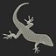 3d carolina anole lizard pose model