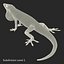 3d carolina anole lizard pose model