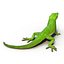 3d carolina anole lizard pose model