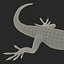 3d carolina anole lizard pose model