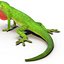 3d carolina anole lizard pose model