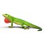 3d carolina anole lizard pose model