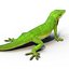 3d carolina anole lizard pose model