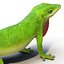 3d carolina anole lizard pose model