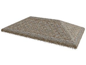 THATCH ROOF